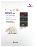 Picture of hTH-GFP Data Sheet US 2PP - 9439 