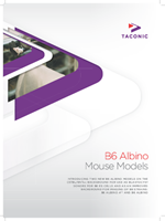 Picture of B6 Albino Brochure 8PP US - 7705