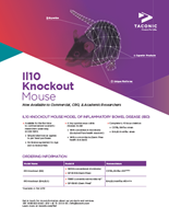 Picture of IL Knockout Mouse Flyer US 2PP